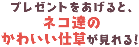 プレゼントをあげると、ネコ達のかわいい仕草が見れる！