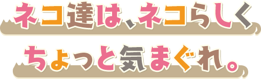 ネコ達は、ネコらしくちょっと気まぐれ。