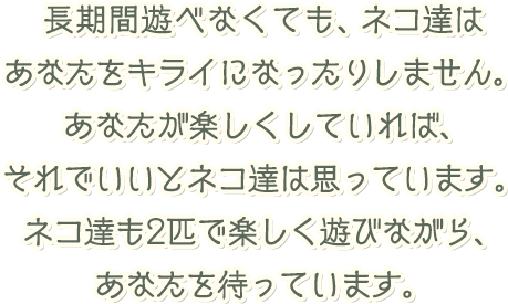 長期間遊べなくても、ネコ達はあなたをキライになったりしません。あなたが楽しくしていれば、それでいいとネコ達は思っています。ネコ達も2匹で楽しく遊びながら、あなたを待っています。