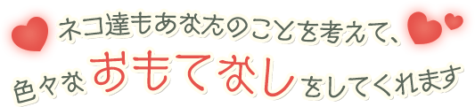 ネコ達を可愛がるとキズナメーターがアップ！