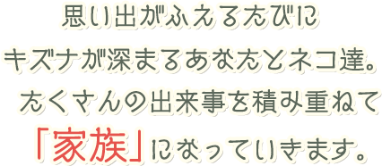 思い出がふえるたびにキズナが深まるあなたとネコ達。たくさんの出来事を積み重ねて「家族」になっていきます。